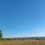 Peaceful Bohon