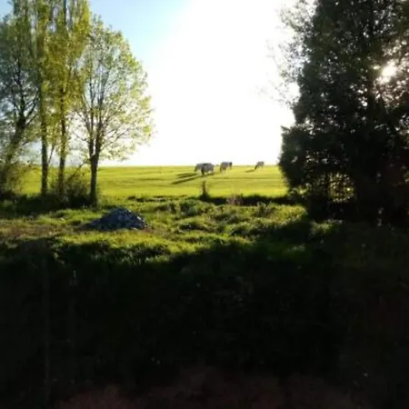 Peaceful Bohon * Barvaux